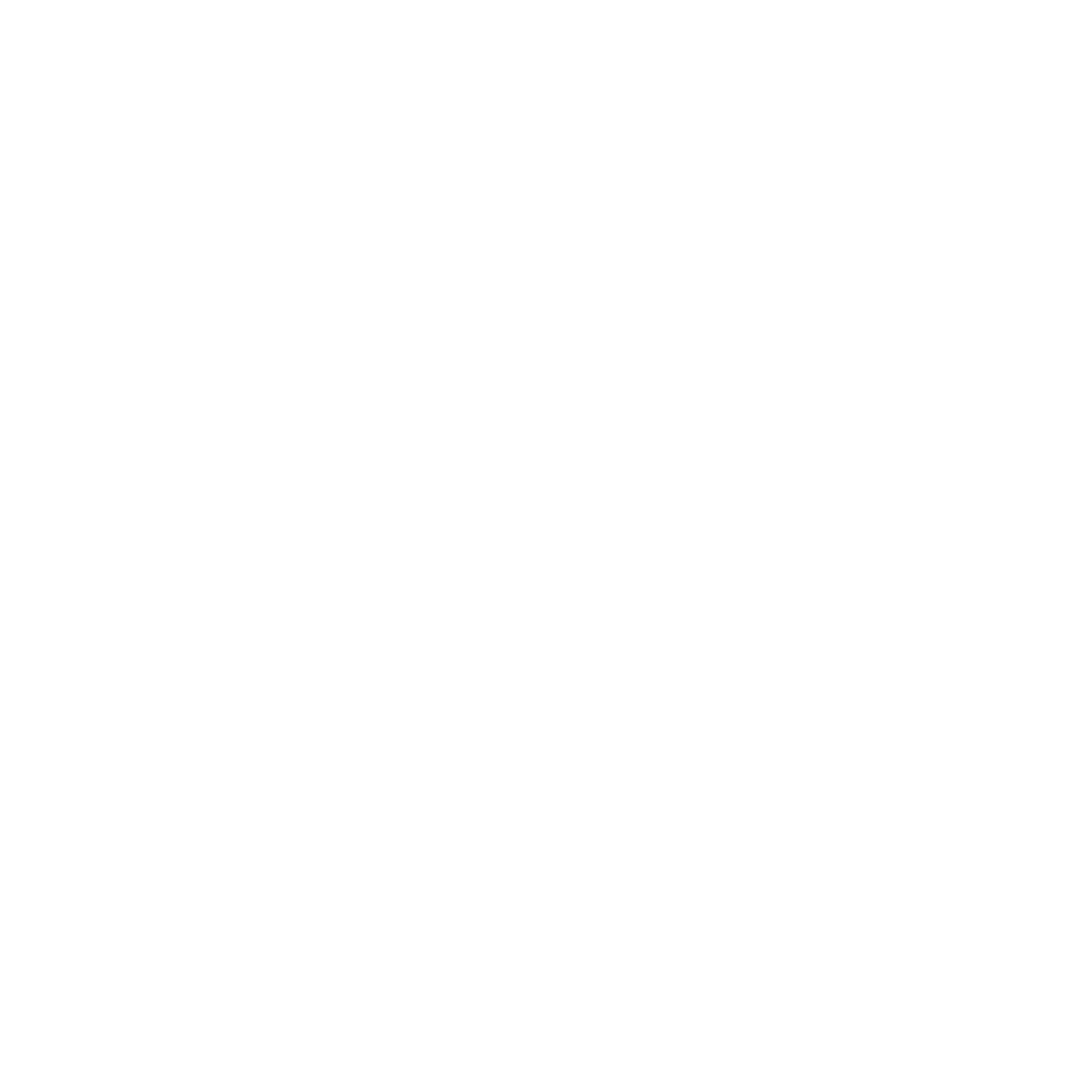 NB STUDIO Logo